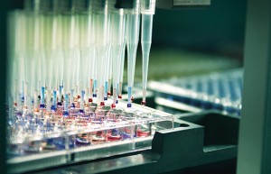 High Throughput Screening